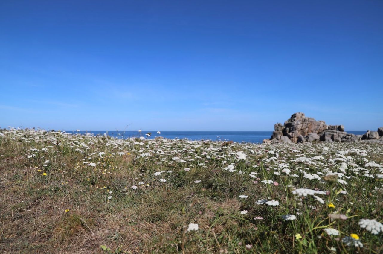 Creve Coeur and No. 79