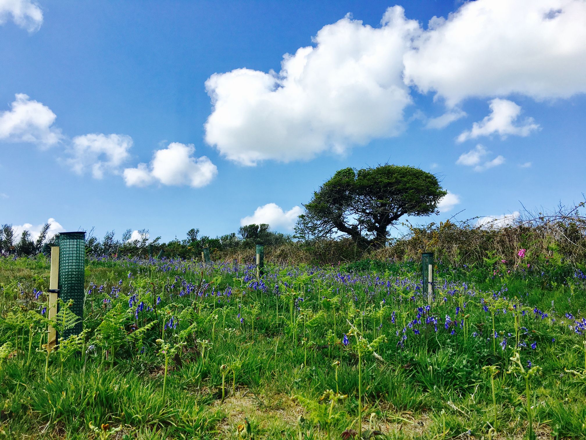 Le Gouffre, Le Bigard & La Plaine des Camprôts