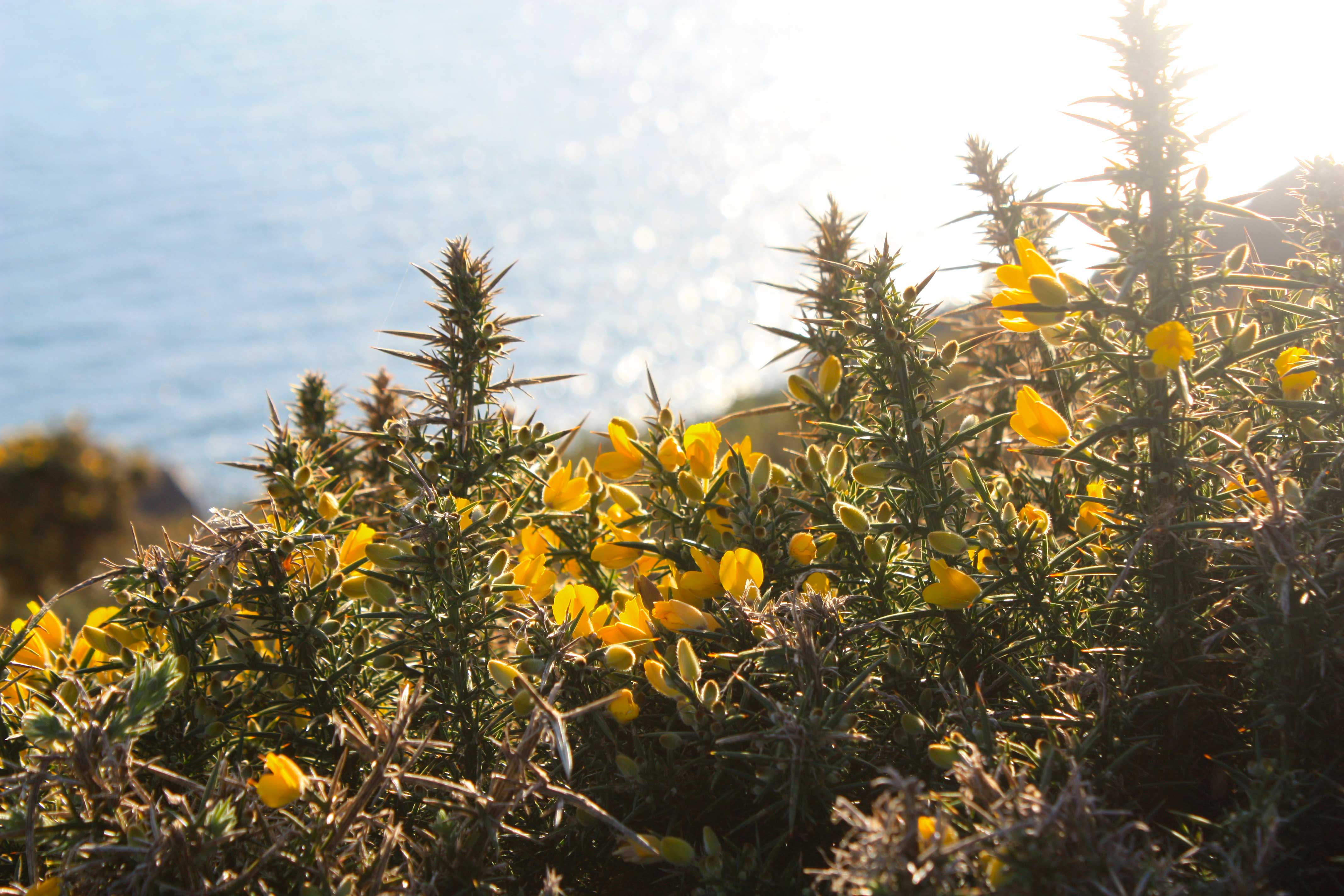 Le Gouffre, Le Bigard & La Plaine des Camprôts