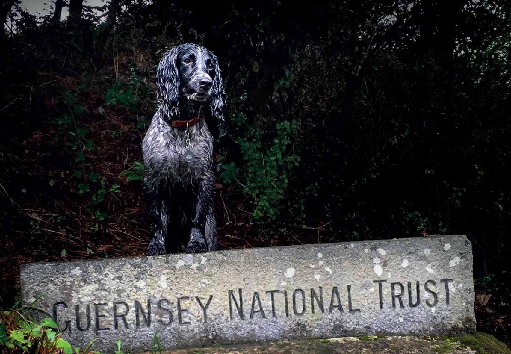 Pleinmont Headland – South West Coast