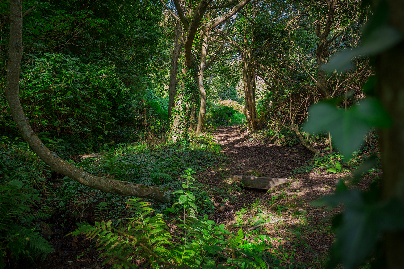 La Prévôté and Clifton Valley